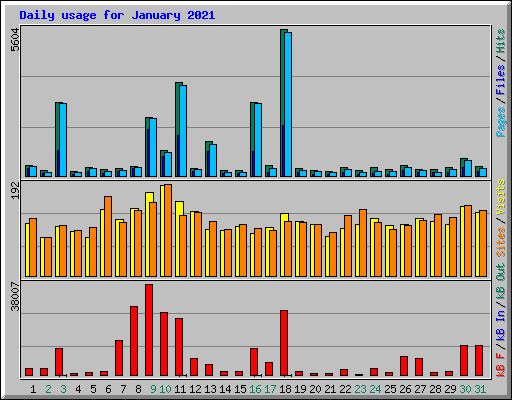 Daily usage for January 2021