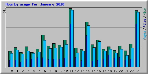 Hourly usage for January 2016