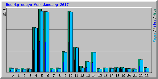 Hourly usage for January 2017