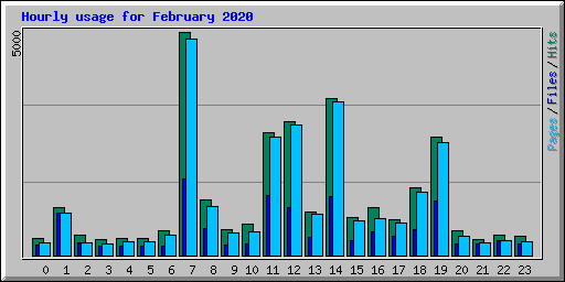 Hourly usage for February 2020