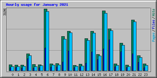 Hourly usage for January 2021