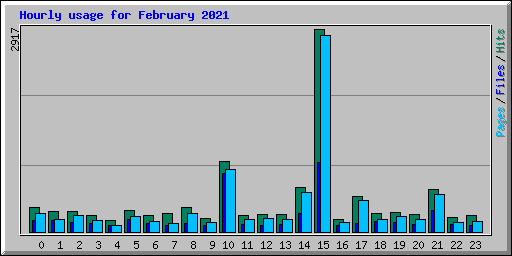 Hourly usage for February 2021