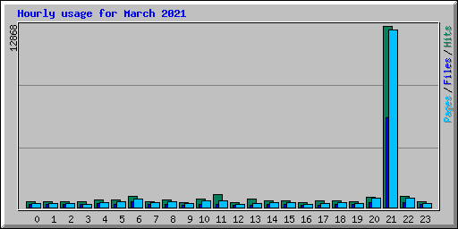 Hourly usage for March 2021