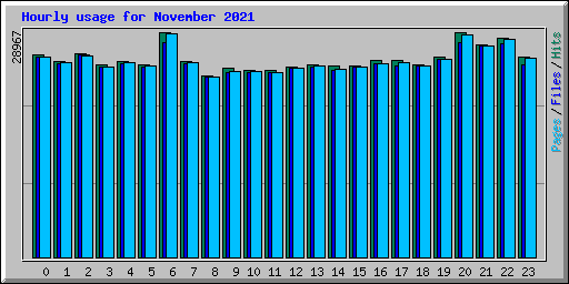 Hourly usage for November 2021