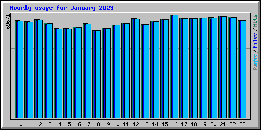 Hourly usage for January 2023