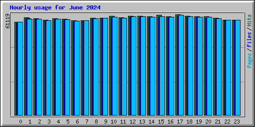 Hourly usage for June 2024