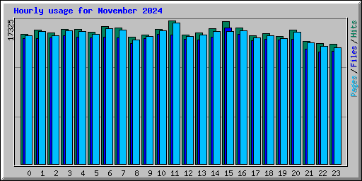 Hourly usage for November 2024