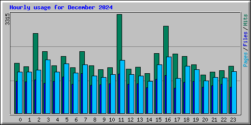 Hourly usage for December 2024