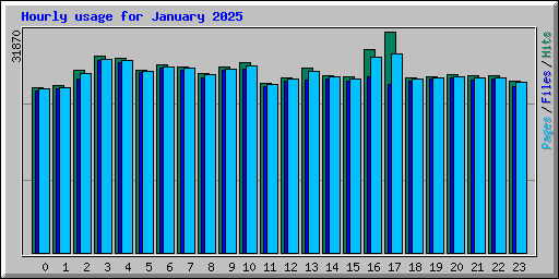 Hourly usage for January 2025