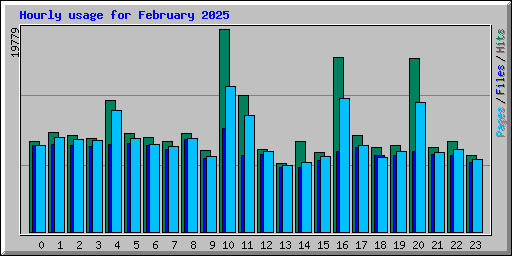 Hourly usage for February 2025