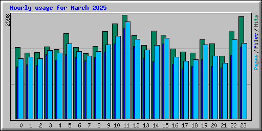 Hourly usage for March 2025