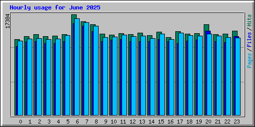 Hourly usage for June 2025