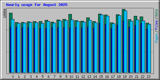 Hourly usage for August 2025
