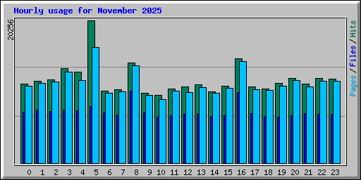 Hourly usage for November 2025