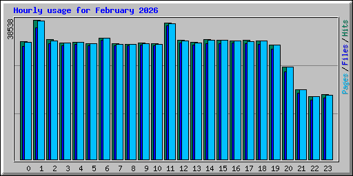 Hourly usage for February 2026
