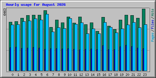Hourly usage for August 2026